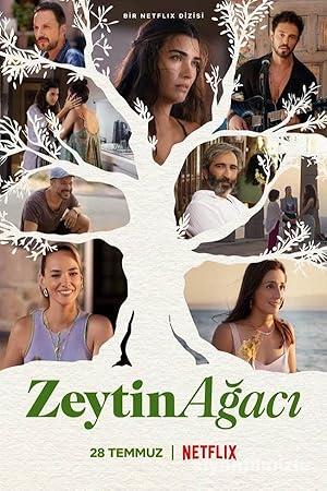 Zeytin Ağacı 2022 izle